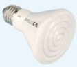 Infrared Bulb Heater (IOT/75)